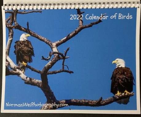 2022 Calander of birds