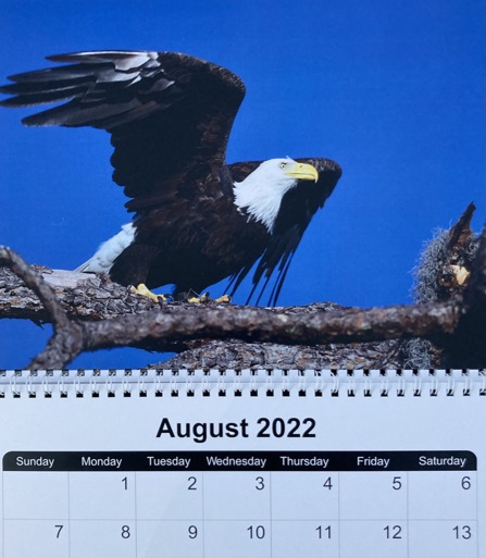 046DB871-D885-4E0D-9C2F-3DD7AD66C8F9_1_105_c