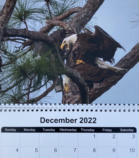 0B0D2D07-91AF-4D49-A6B3-FAD29F32D9A6_1_105_c