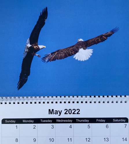 10F6E556-2BA8-4946-B900-C933E95A3BE1_1_105_c