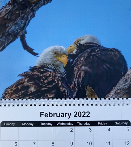 2A7B5170-8389-4B25-8043-E30C0B985498_1_201_a