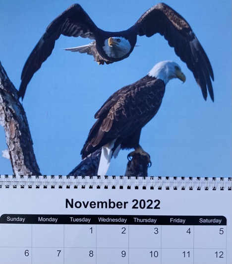 48E79B3A-4195-4D44-96A8-49AEF99B1407_1_201_a