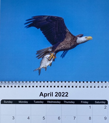 51A50540-CF06-48B8-85B0-C9DE3CC6FA79_1_201_a