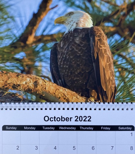 652387B3-D11E-401C-8374-0156B5FFC518_1_105_c