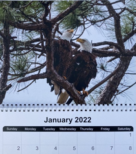 7766360A-6961-47D3-A349-C02AF42E18F1_1_105_c