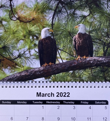 7AA69055-87FD-485D-9ED0-F023553FC8FC_1_105_c