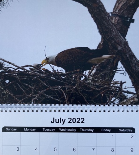 B5900A52-5B05-447B-98EB-C2AA5712081B_1_105_c