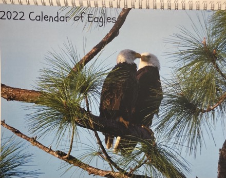 CF30677C-0F51-4967-B3A7-C170ED821181_1_105_c