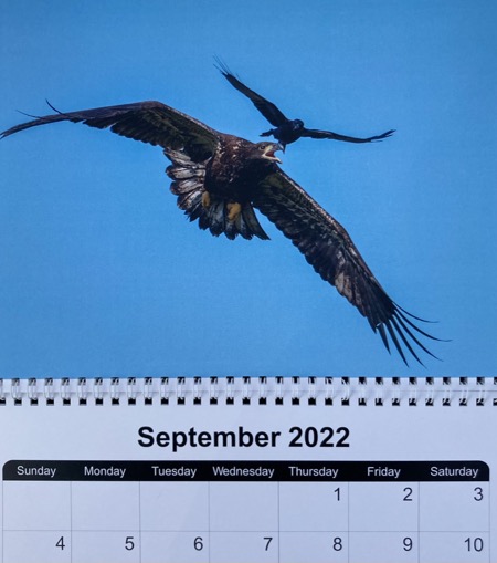 D6B8BCA2-849D-4DEF-91E2-8B350E0ED42C_1_105_c