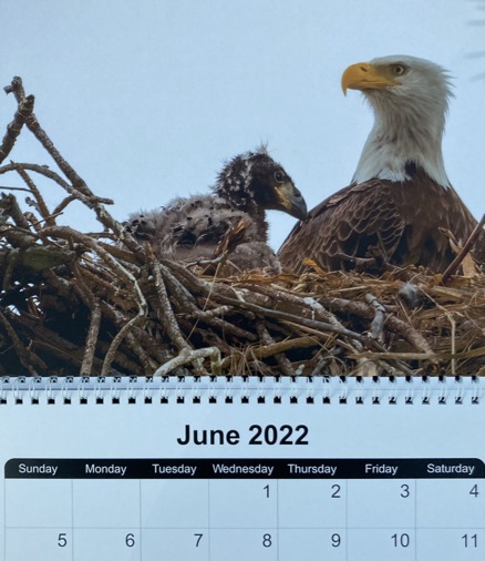 DEB9757A-07FC-424E-84AF-8D177B15421A_1_105_c