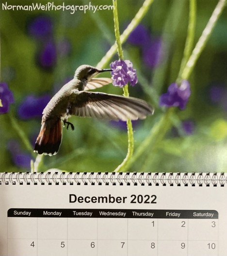 1A111EB4-3EEE-4FEB-8738-608A3C2340D5_1_105_c