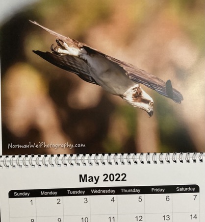 0E646293-608E-42F6-9BD0-B59D8B1E76C9_1_105_c