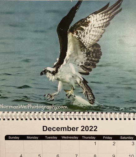 17C5404E-134E-4006-952F-09AF70199B20_1_201_a