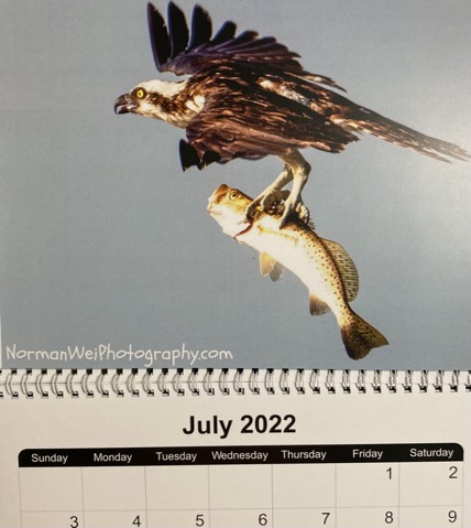 219C209F-A4DD-43CF-8FEA-A1F247BAB6AA_1_105_c