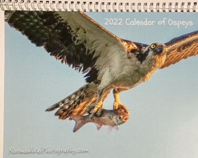 36594FFA-AAEC-422D-AF8E-50A0FDE38CC5_1_201_a