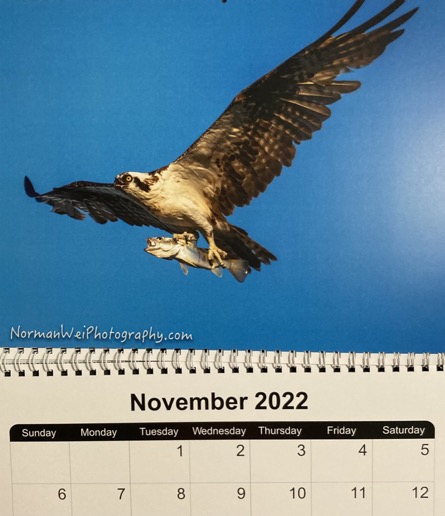 3FA70D6B-3C20-4053-AF12-D9EBA6359353_1_105_c