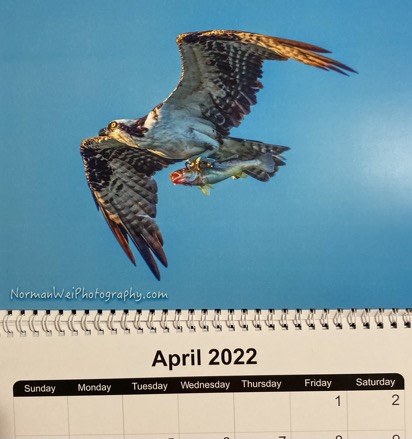 423CD895-A6B2-4B0B-B832-0D06223FD00C_1_201_a