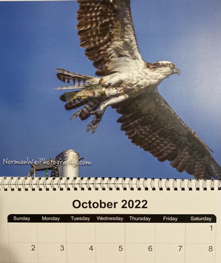 4D34C83B-45DF-488F-95FA-215CB04F2F2C_1_105_c