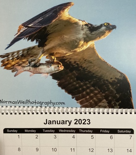 529F6AE2-CC42-40E6-8ACA-C5504EA91072_1_105_c