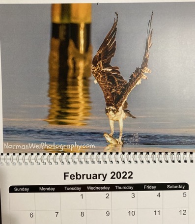 5B829D7D-DD39-4796-AED8-E26B6D37DF1B_1_105_c