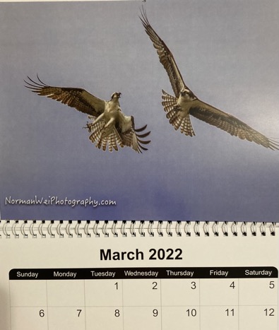 985B5406-1165-4517-B65E-0C28F1A010FE_1_201_a