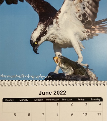 A20121EA-D0BF-4395-91C2-C15593691208_1_201_a