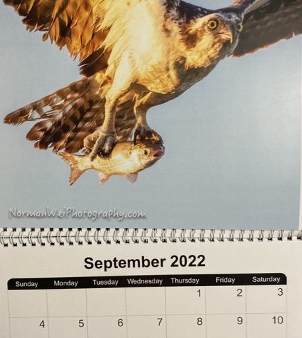 A31DCE25-686A-4C16-9A69-1D2B706B2C9B_1_105_c