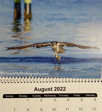 B06AF41F-1C59-44F1-BC04-0EF8C8B6499A_1_105_c