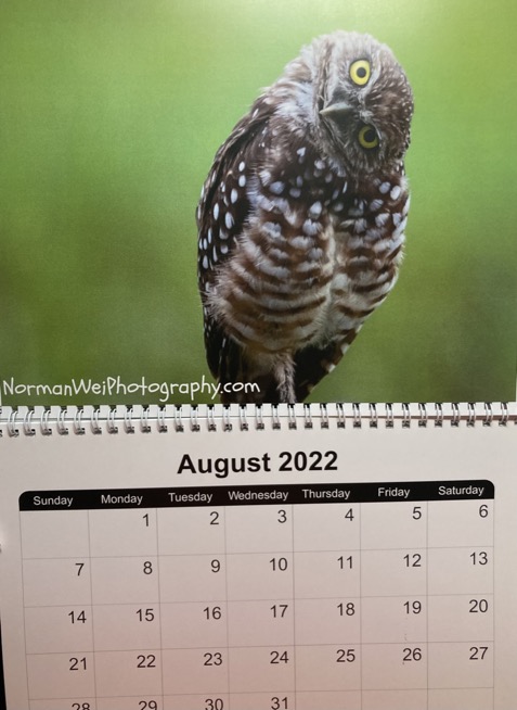 1171B546-0958-4943-9AAB-6DFC8052B992_1_105_c