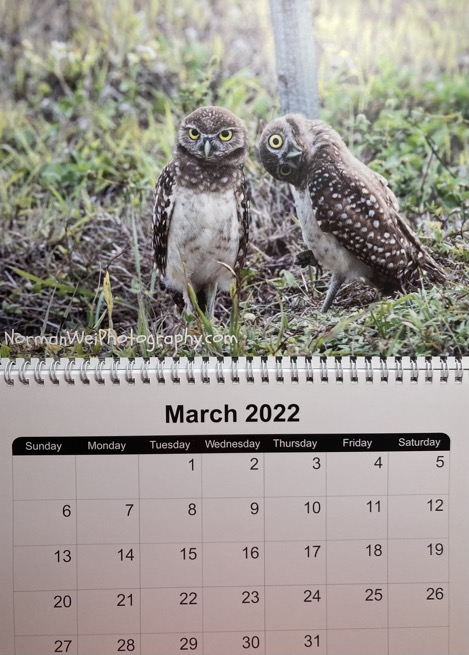 2912E186-0015-45B4-859D-CACA031CA2A0_1_201_a