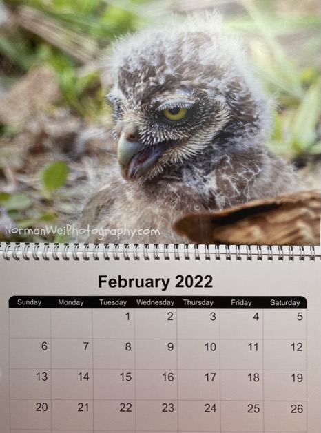 35A4DE6E-AF44-40D9-AC88-16E8053530A5_1_105_c