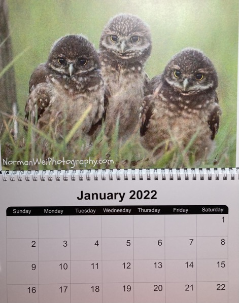 521D822E-3630-4254-A515-FA7947EB7990_1_201_a