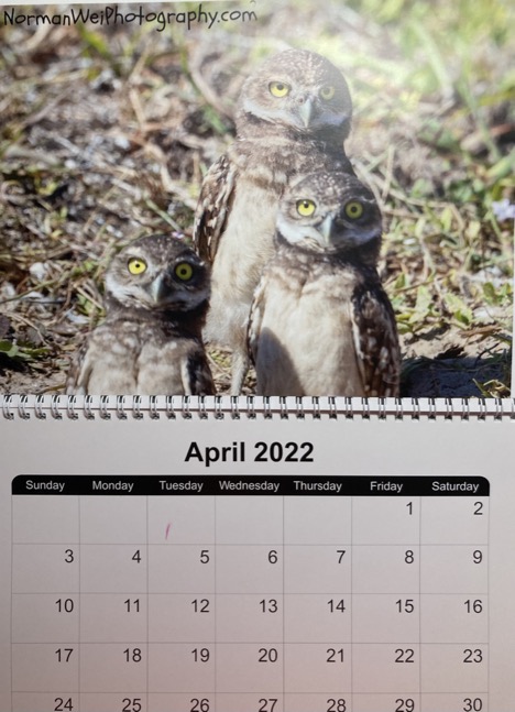 5AC35621-4672-4EBA-831E-62175DF5838D_1_105_c