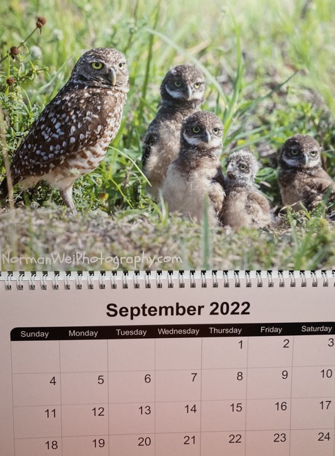 5F336445-A70A-4E8C-9A03-A7A9F2D23779_1_201_a