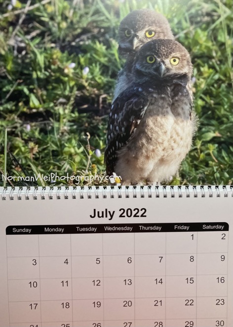 65EDAFE6-7364-4F3E-A3FC-DE8D91628230_1_105_c