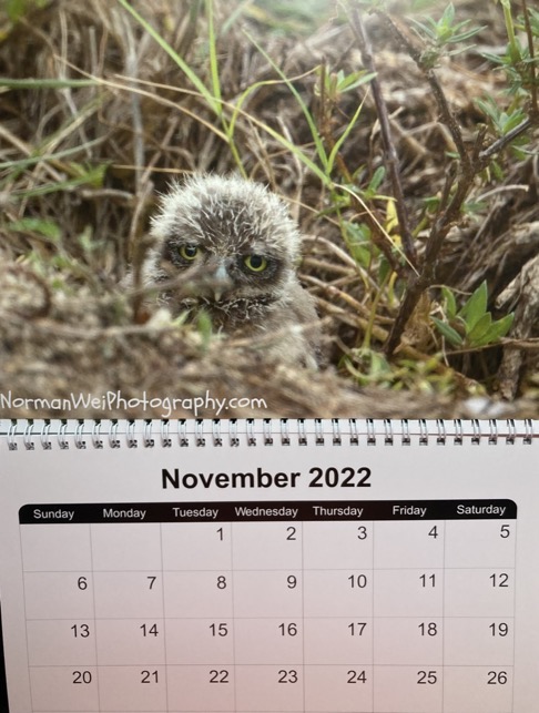 8E1C9A04-8FC9-46D0-8F10-CB84C94FC070_1_105_c