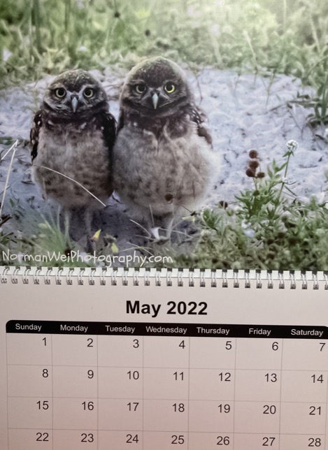 A0197118-7E44-4BA3-B80F-B39A82E50D38_1_105_c