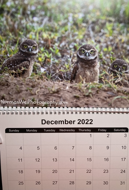 B555F843-1E4C-4AF8-880C-82378A1C9095_1_201_a