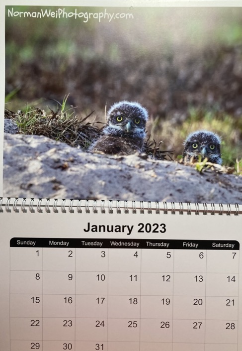 E03ACB25-F655-4E8A-9216-E34F8B6E2666_1_105_c