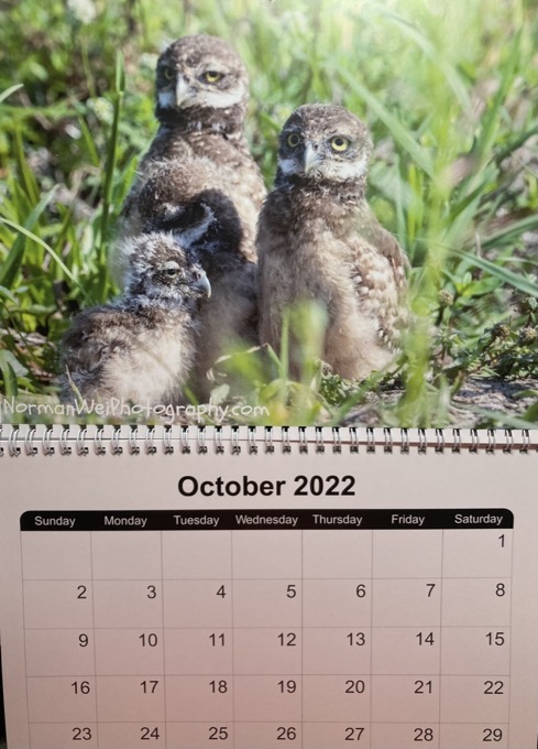 EED441DF-B3B0-4505-85EB-02C31A94290E_1_105_c