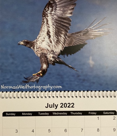 young eagle with fish