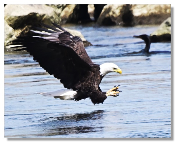 DSC_9673_02-DeNoiseAI-clear