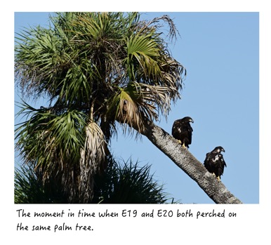 85B7D358-9C8B-410C-8A17-9E0052A6296C_1_201_a