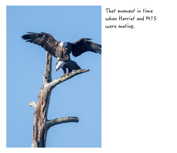 8DDDBFEC-AE56-4101-A661-E7B8BF7CF30A_1_201_a