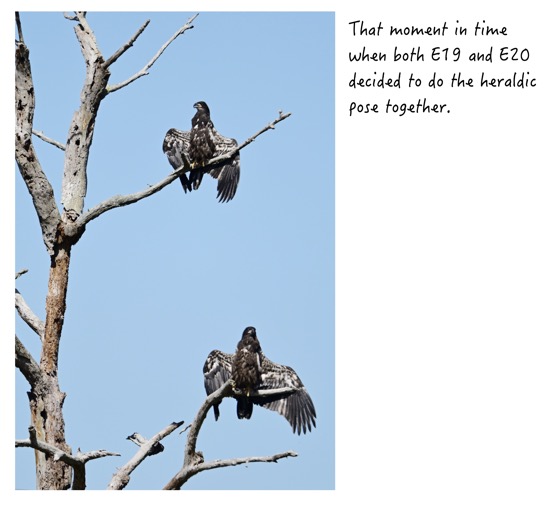 BF3AC505-FC03-4C31-B195-CCF2DAFE9049_1_201_a