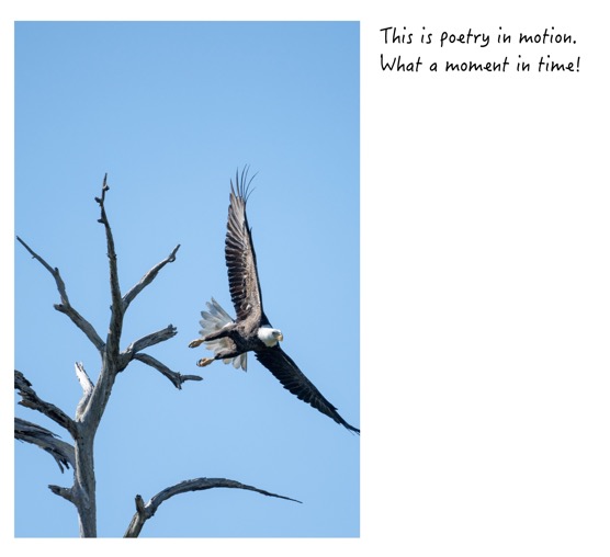 C1269177-F983-4B09-BF39-0529AEB5BD1A_1_201_a