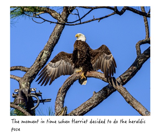 DDB466EB-319D-4698-A6A3-AB65ED0EBFDD_1_201_a