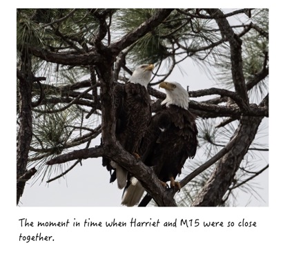 F7A8E75B-A4EC-4D31-B28C-22FE1AFB610C_1_102_a