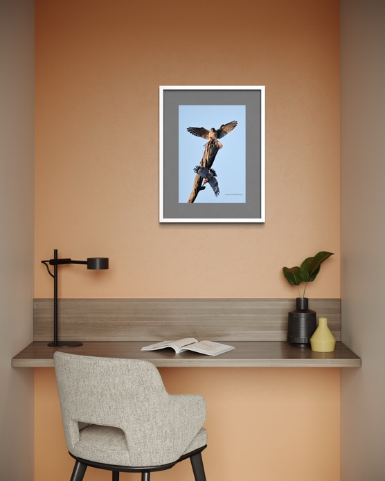 04CFC2B3-F41F-4EBC-A2F7-CDEF53DAA1C7_1_102_o