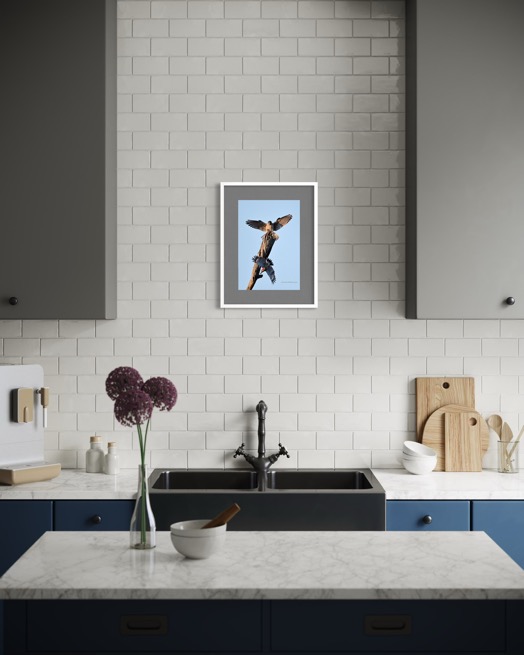 EC194FC8-044D-4211-88B3-24FEC900559F_1_102_o